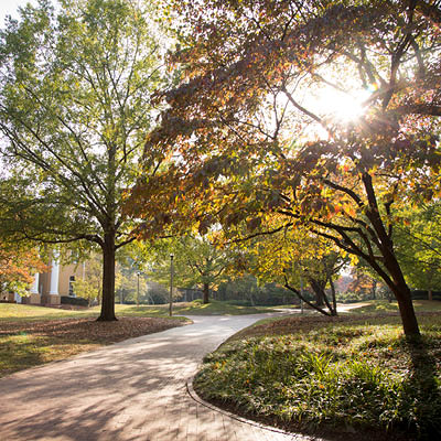 Horseshoe at the University of South Carolina