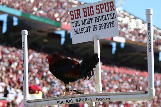 Sir Big Spur